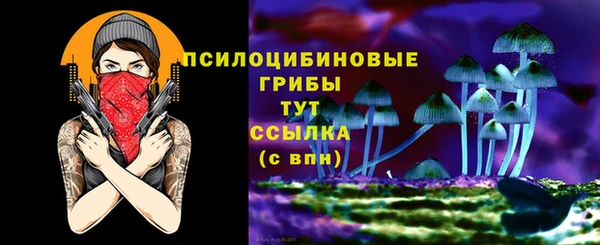 PSILOCYBIN Абинск